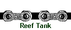 Reef Tank