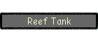 Reef Tank